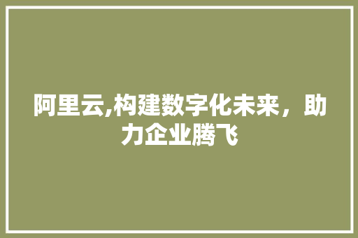 阿里云,构建数字化未来，助力企业腾飞 阿里云,构建数字化未来，助力企业腾飞 搜狗SEO
