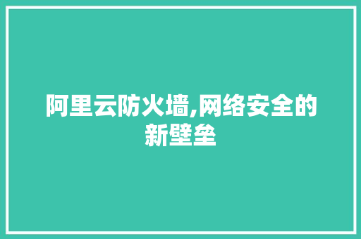 阿里云防火墙,网络安全的新壁垒 阿里云防火墙,网络安全的新壁垒 必应SEO