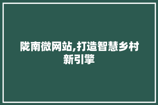 陇南微网站,打造智慧乡村新引擎
