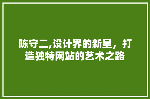 陈守二,设计界的新星，打造独特网站的艺术之路 陈守二,设计界的新星，打造独特网站的艺术之路 百度SEO