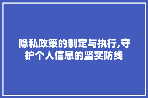 隐私政策的制定与执行,守护个人信息的坚实防线 隐私政策的制定与执行,守护个人信息的坚实防线 神马SEO