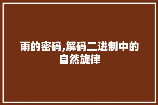雨的密码,解码二进制中的自然旋律 雨的密码,解码二进制中的自然旋律 必应SEO