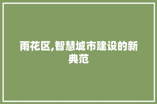 雨花区,智慧城市建设的新典范 雨花区,智慧城市建设的新典范 百度SEO
