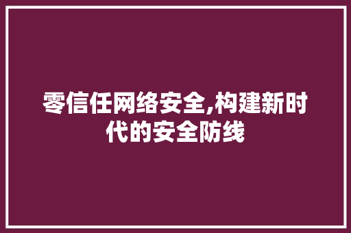 零信任网络安全,构建新时代的安全防线 零信任网络安全,构建新时代的安全防线 网站建设公司