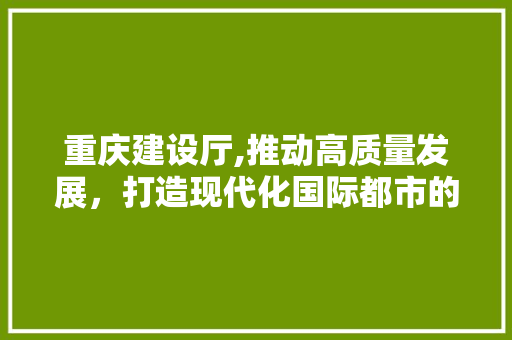 重庆建设厅,推动高质量发展，打造现代化国际都市的坚实基石 重庆建设厅,推动高质量发展，打造现代化国际都市的坚实基石 必应SEO