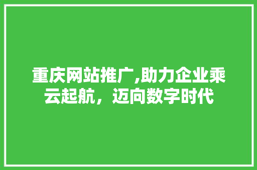 重庆网站推广,助力企业乘云起航，迈向数字时代 重庆网站推广,助力企业乘云起航，迈向数字时代 SEO关键词