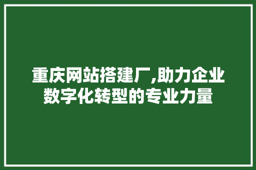 重庆网站搭建厂,助力企业数字化转型的专业力量 重庆网站搭建厂,助力企业数字化转型的专业力量 SEO关键词