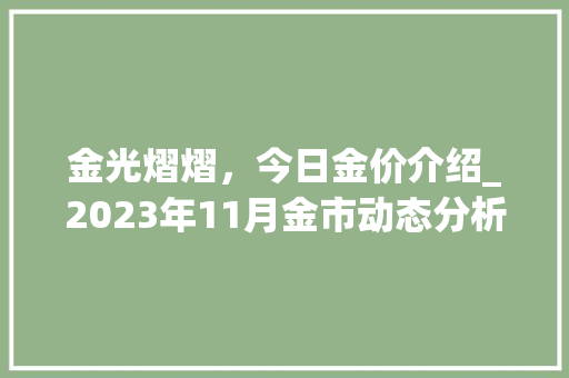 金光熠熠，今日金价介绍_2023年11月金市动态分析 神马SEO
