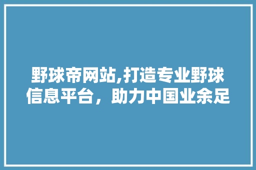野球帝网站,打造专业野球信息平台，助力中国业余足球发展 野球帝网站,打造专业野球信息平台，助力中国业余足球发展 网站建设公司