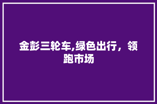 金彭三轮车,绿色出行，领跑市场 金彭三轮车,绿色出行，领跑市场 百度SEO