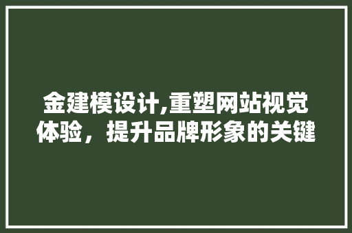 金建模设计,重塑网站视觉体验，提升品牌形象的关键之路 金建模设计,重塑网站视觉体验，提升品牌形象的关键之路 必应SEO