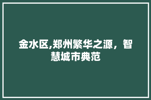 金水区,郑州繁华之源，智慧城市典范 金水区,郑州繁华之源，智慧城市典范 必应SEO