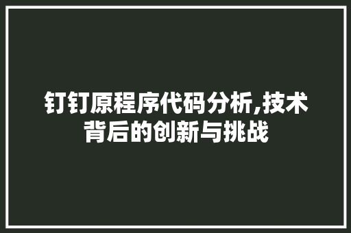 钉钉原程序代码分析,技术背后的创新与挑战 钉钉原程序代码分析,技术背后的创新与挑战 百度SEO