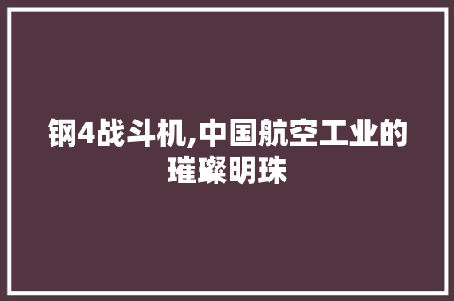 钢4战斗机,中国航空工业的璀璨明珠 钢4战斗机,中国航空工业的璀璨明珠 搜狗SEO