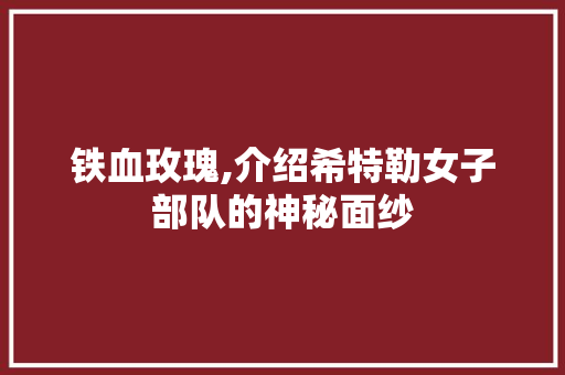 铁血玫瑰,介绍希特勒女子部队的神秘面纱 铁血玫瑰,介绍希特勒女子部队的神秘面纱 百度SEO