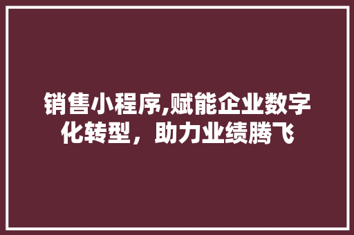 销售小程序,赋能企业数字化转型，助力业绩腾飞 销售小程序,赋能企业数字化转型，助力业绩腾飞 百度SEO