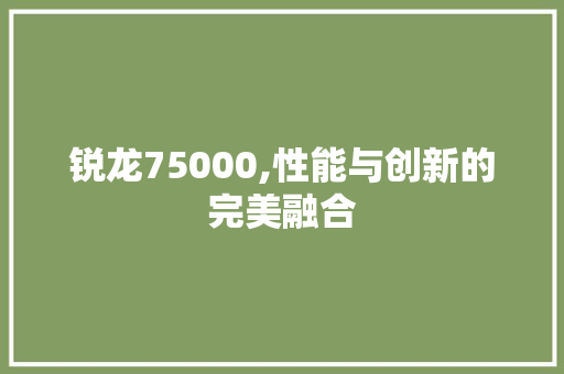 锐龙75000,性能与创新的完美融合