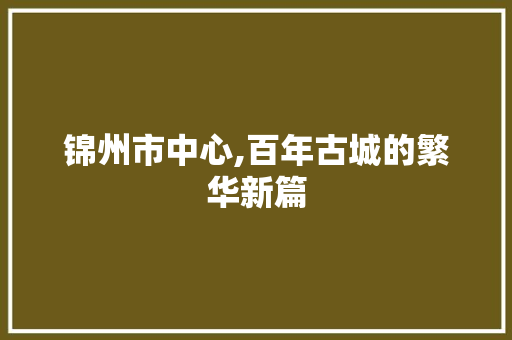 锦州市中心,百年古城的繁华新篇 锦州市中心,百年古城的繁华新篇 搜狗SEO