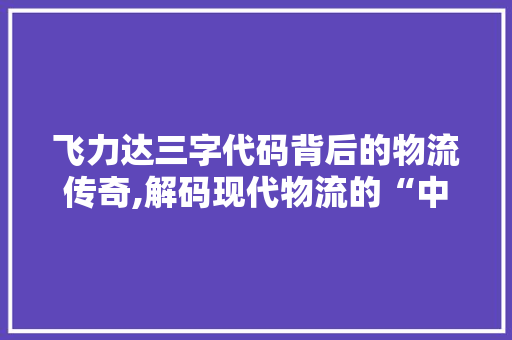 飞力达三字代码背后的物流传奇,解码现代物流的“中国速度” 飞力达三字代码背后的物流传奇,解码现代物流的“中国速度” 必应SEO