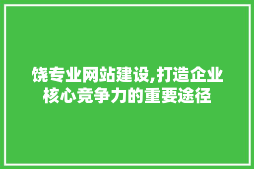 饶专业网站建设,打造企业核心竞争力的重要途径 饶专业网站建设,打造企业核心竞争力的重要途径 搜狗SEO