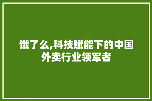 饿了么,科技赋能下的中国外卖行业领军者 饿了么,科技赋能下的中国外卖行业领军者 必应SEO