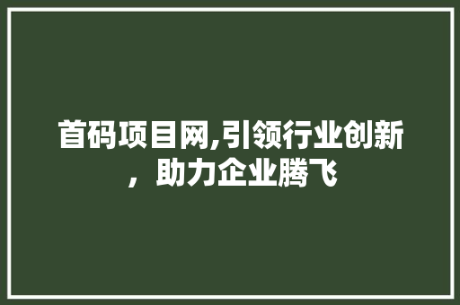 首码项目网,引领行业创新，助力企业腾飞 首码项目网,引领行业创新，助力企业腾飞 网站建设公司