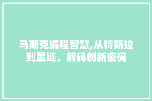 马斯克编程智慧,从特斯拉到星链，解码创新密码 马斯克编程智慧,从特斯拉到星链，解码创新密码 网站建设公司