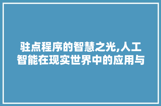 驻点程序的智慧之光,人工智能在现实世界中的应用与探索 驻点程序的智慧之光,人工智能在现实世界中的应用与探索 必应SEO