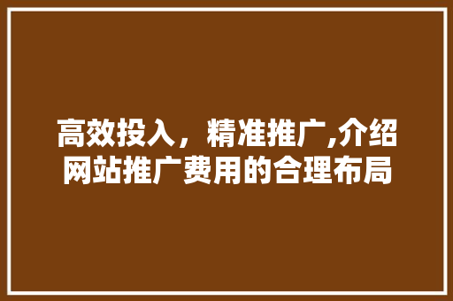 高效投入，精准推广,介绍网站推广费用的合理布局 高效投入，精准推广,介绍网站推广费用的合理布局 网站建设公司