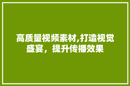 高质量视频素材,打造视觉盛宴，提升传播效果 高质量视频素材,打造视觉盛宴，提升传播效果 搜狗SEO