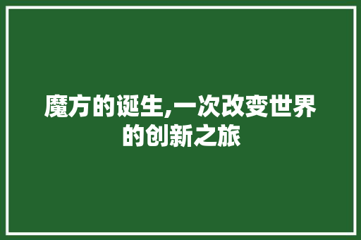 魔方的诞生,一次改变世界的创新之旅 魔方的诞生,一次改变世界的创新之旅 必应SEO