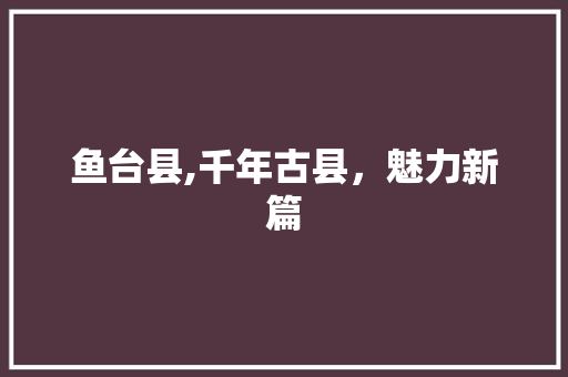 鱼台县,千年古县，魅力新篇 鱼台县,千年古县，魅力新篇 SEO关键词