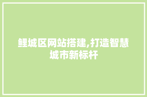鲤城区网站搭建,打造智慧城市新标杆 鲤城区网站搭建,打造智慧城市新标杆 神马SEO