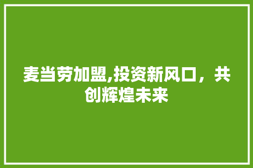 麦当劳加盟,投资新风口，共创辉煌未来 麦当劳加盟,投资新风口，共创辉煌未来 网站建设公司