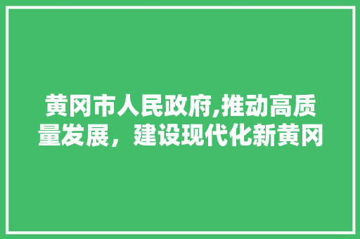 黄冈市人民政府,推动高质量发展，建设现代化新黄冈 黄冈市人民政府,推动高质量发展，建设现代化新黄冈 搜狗SEO