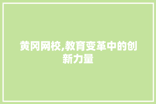 黄冈网校,教育变革中的创新力量