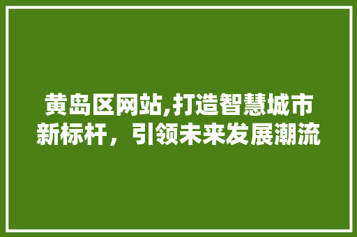 黄岛区网站,打造智慧城市新标杆，引领未来发展潮流 黄岛区网站,打造智慧城市新标杆，引领未来发展潮流 百度SEO