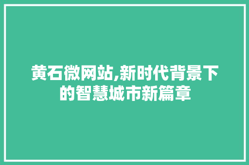 黄石微网站,新时代背景下的智慧城市新篇章 黄石微网站,新时代背景下的智慧城市新篇章 网站建设公司