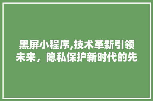 黑屏小程序,技术革新引领未来，隐私保护新时代的先行者 黑屏小程序,技术革新引领未来，隐私保护新时代的先行者 搜狗SEO