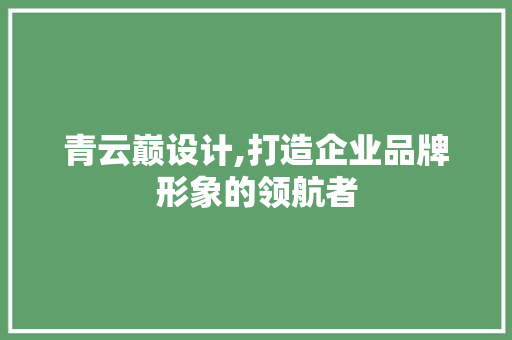 青云巅设计,打造企业品牌形象的领航者 青云巅设计,打造企业品牌形象的领航者 搜狗SEO