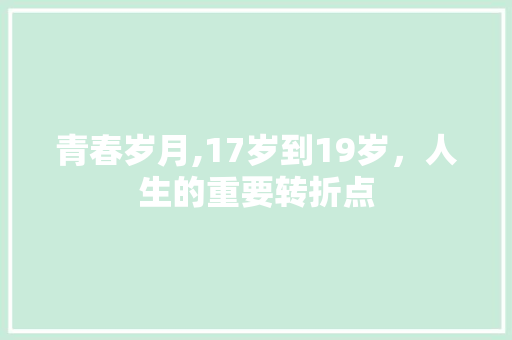 青春岁月,17岁到19岁，人生的重要转折点 青春岁月,17岁到19岁，人生的重要转折点 网站建设公司