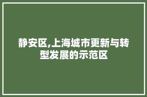 静安区,上海城市更新与转型发展的示范区 静安区,上海城市更新与转型发展的示范区 百度SEO