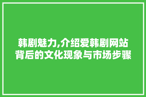 韩剧魅力,介绍爱韩剧网站背后的文化现象与市场步骤 韩剧魅力,介绍爱韩剧网站背后的文化现象与市场步骤 百度SEO