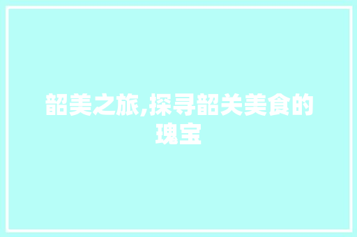 韶美之旅,探寻韶关美食的瑰宝