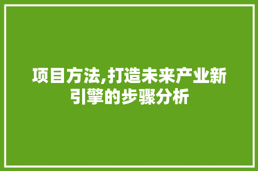项目方法,打造未来产业新引擎的步骤分析 项目方法,打造未来产业新引擎的步骤分析 必应SEO