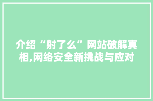 介绍“射了么”网站破解真相,网络安全新挑战与应对步骤 介绍“射了么”网站破解真相,网络安全新挑战与应对步骤 SEO关键词