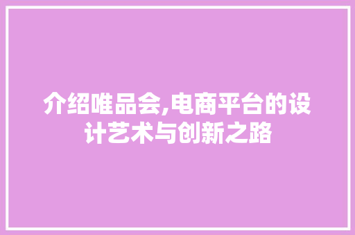 介绍唯品会,电商平台的设计艺术与创新之路