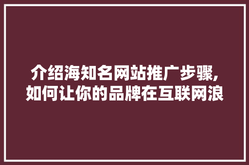 介绍海知名网站推广步骤,如何让你的品牌在互联网浪潮中乘风破浪 介绍海知名网站推广步骤,如何让你的品牌在互联网浪潮中乘风破浪 SEO关键词