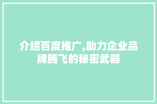 介绍百度推广,助力企业品牌腾飞的秘密武器 介绍百度推广,助力企业品牌腾飞的秘密武器 搜狗SEO
