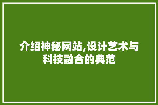 介绍神秘网站,设计艺术与科技融合的典范 介绍神秘网站,设计艺术与科技融合的典范 网站建设公司